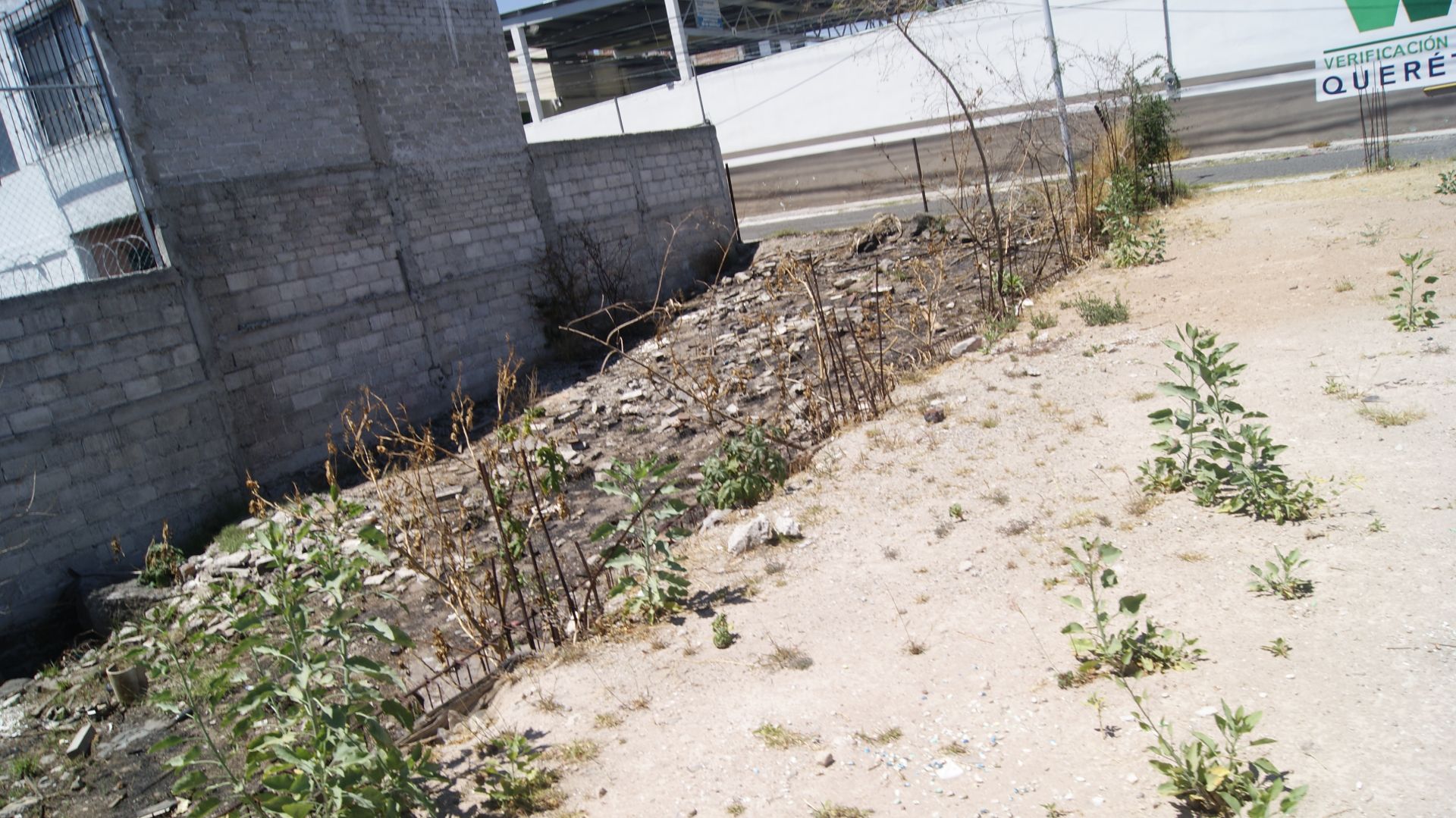 Calle rocas, Querétaro, ,Terreno,Venta,Calle rocas,1018