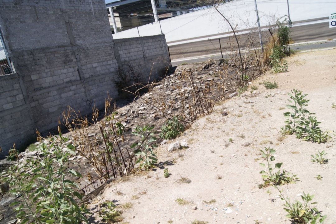 Calle rocas, Querétaro, ,Terreno,Venta,Calle rocas,1018