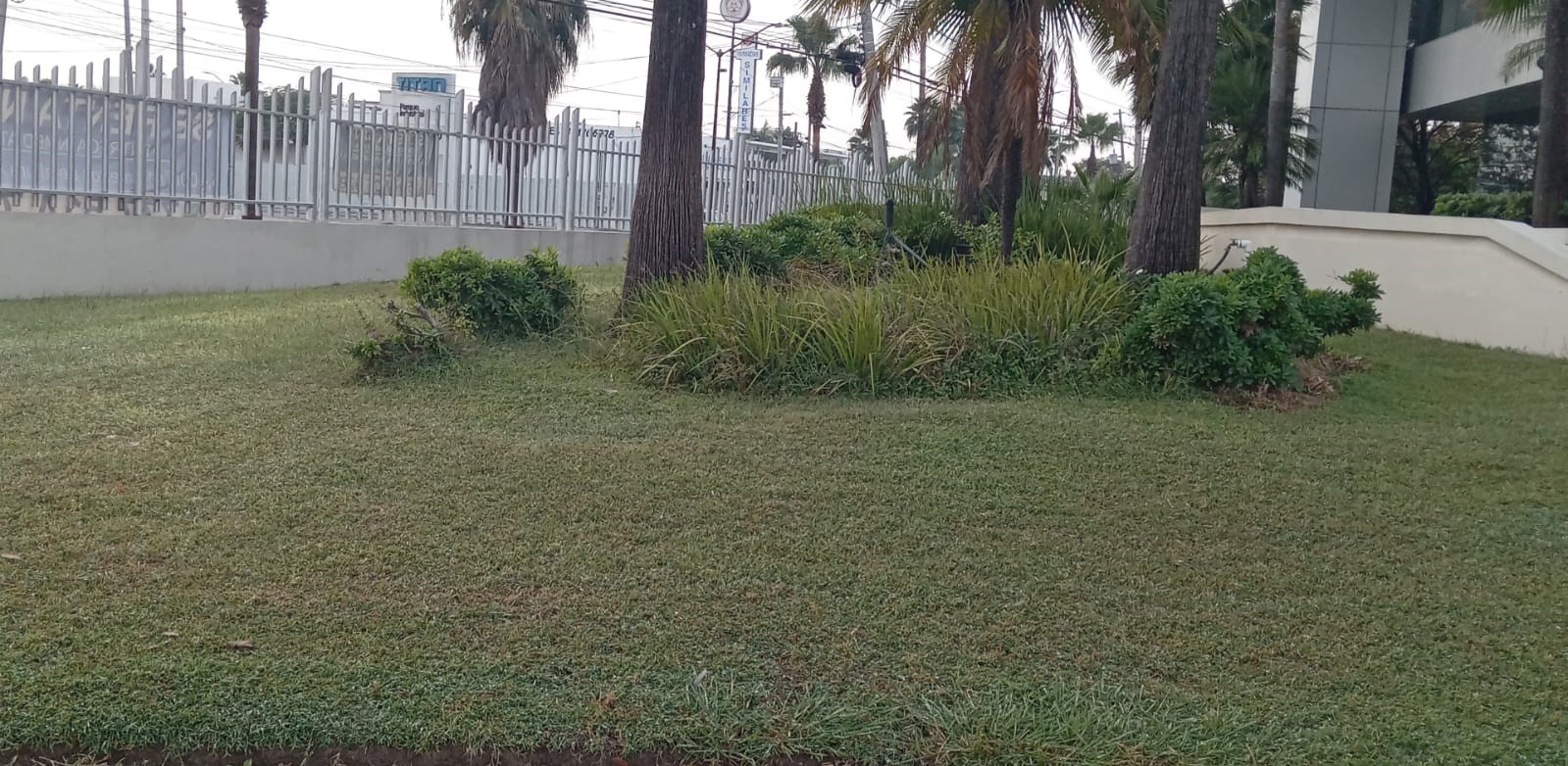 565 Av. Isidoro Sepúlveda Martínez, Nuevo León, 66633, ,Bodega,Renta,GICA Parks Apodaca,Av. Isidoro Sepúlveda Martínez,1041