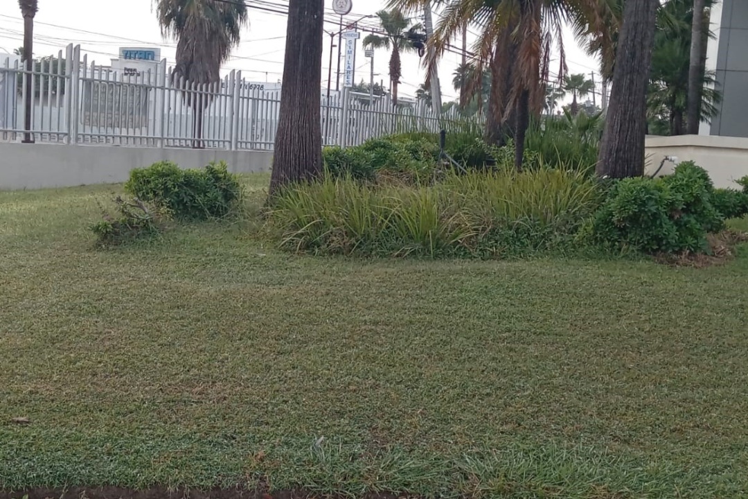 565 Av. Isidoro Sepúlveda Martínez, Nuevo León, 66633, ,Bodega,Renta,GICA Parks Apodaca,Av. Isidoro Sepúlveda Martínez,1041