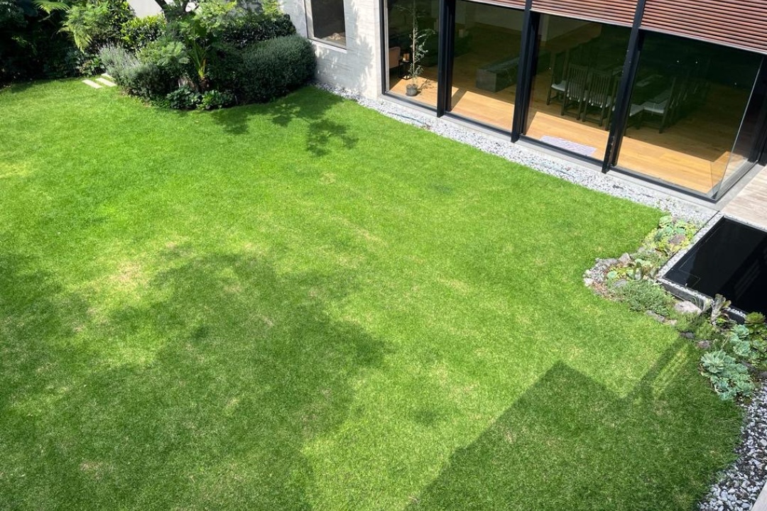Ciudad de México, CDMX, 01900, 4 Bedrooms Bedrooms, ,4 BathroomsBathrooms,Casa,Venta,1060 Ciudad de México, CDMX, 01900, 4 Bedrooms Bedrooms, ,4 BathroomsBathrooms,Casa,Venta,1060