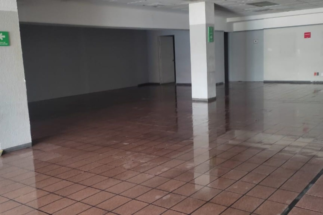 1104 Av. Miguel Hidalgo 1, León, 37220, ,Local,Venta,Av. Miguel Hidalgo,1004